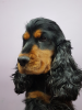 ISIDORE dit IAGO